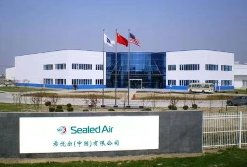 早鳥心動不如行動 跨國公司高管飛抵上海，共啟電子商務新篇章